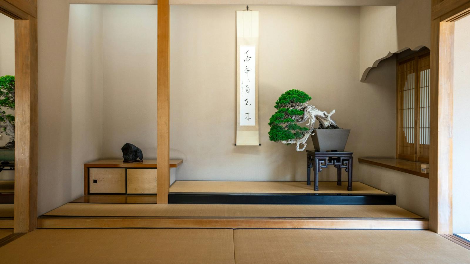 壁龕掛有卷軸、擺著盆栽的茶室