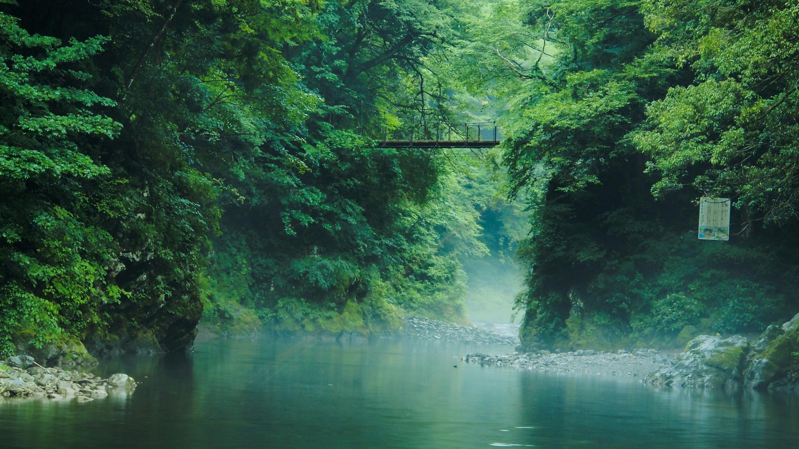A misty river gorge under green forest in Okutama, western Tokyo, with a footbridge high above the water