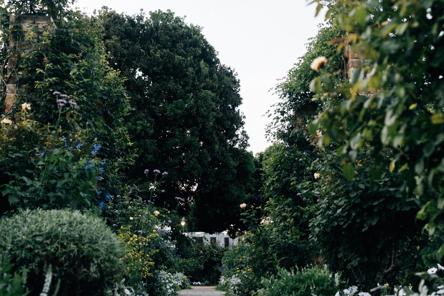 Une allée de pierre entre des massifs fleuris et de grands arbres, dans un jardin de Yokohama