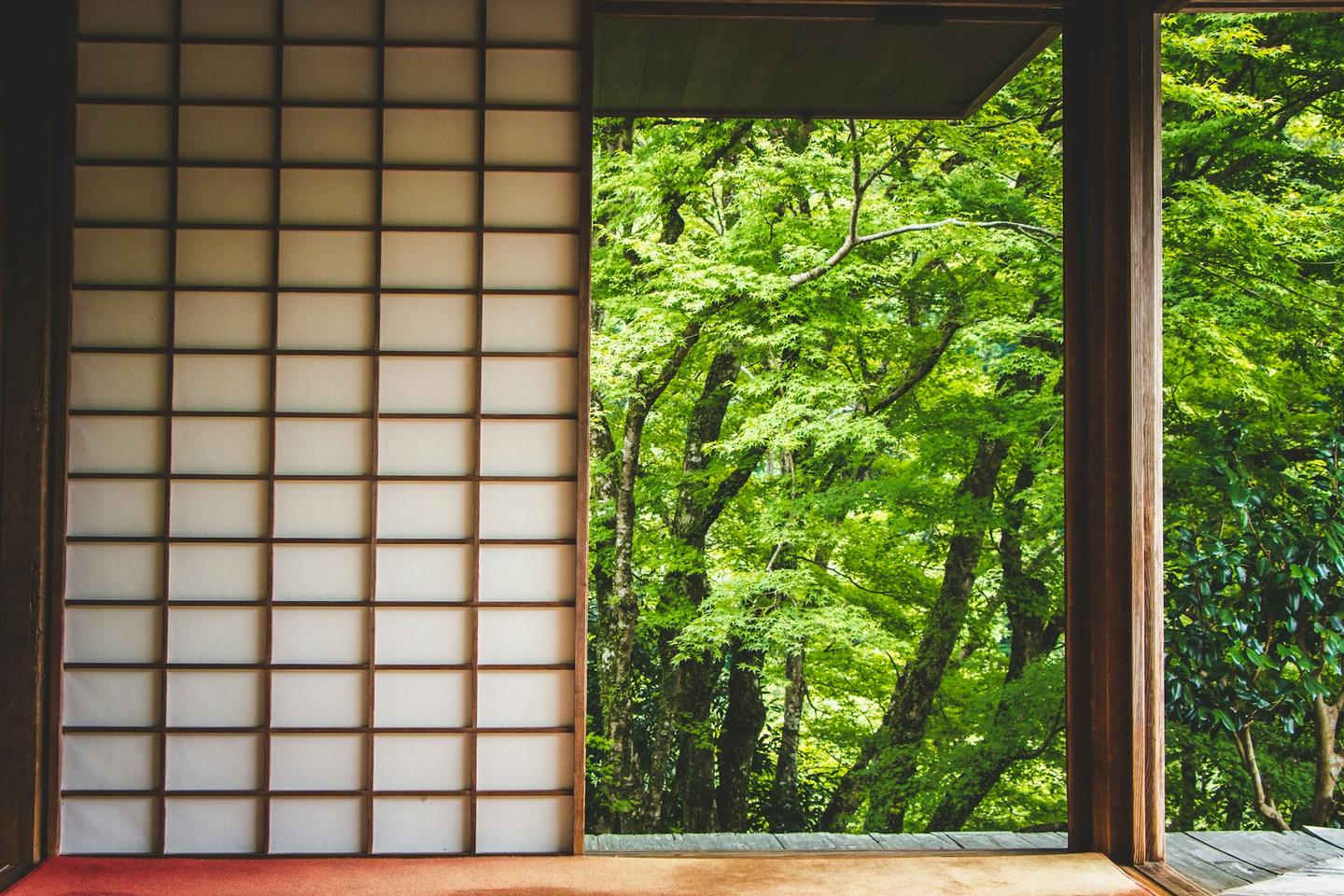 京都寺院敞開的障子，外面是青楓