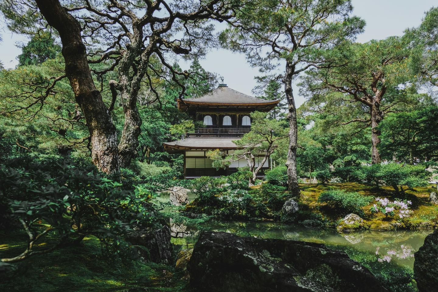 The pavilion of Ginkaku-ji in Kyoto among old pines and moss