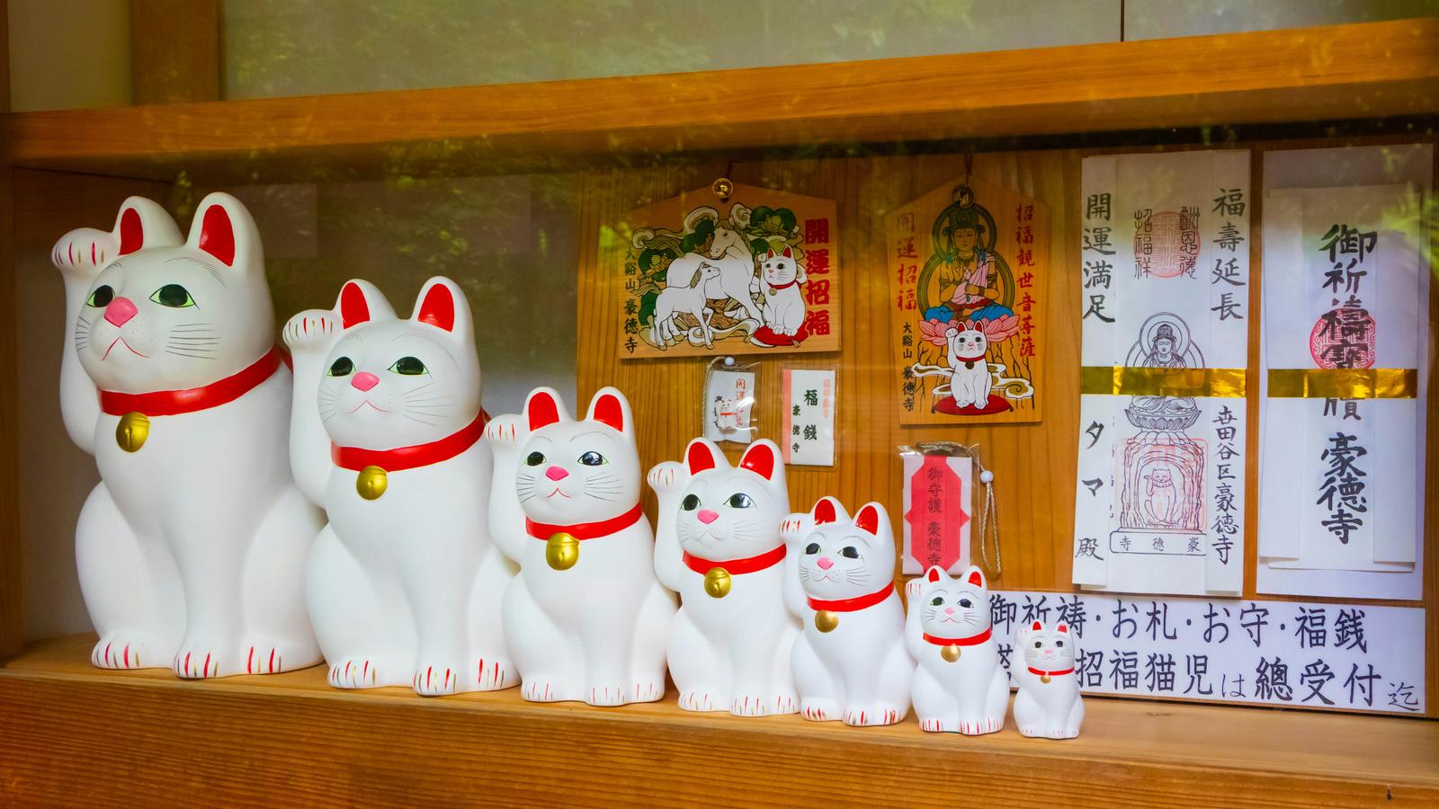 White beckoning cats of different sizes on a wooden shelf at Gotokuji in Setagaya, Tokyo