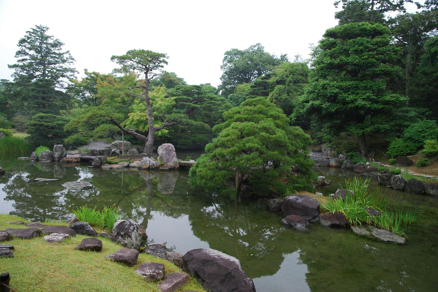 A garden pond in Kyoto edged with rocks and pines