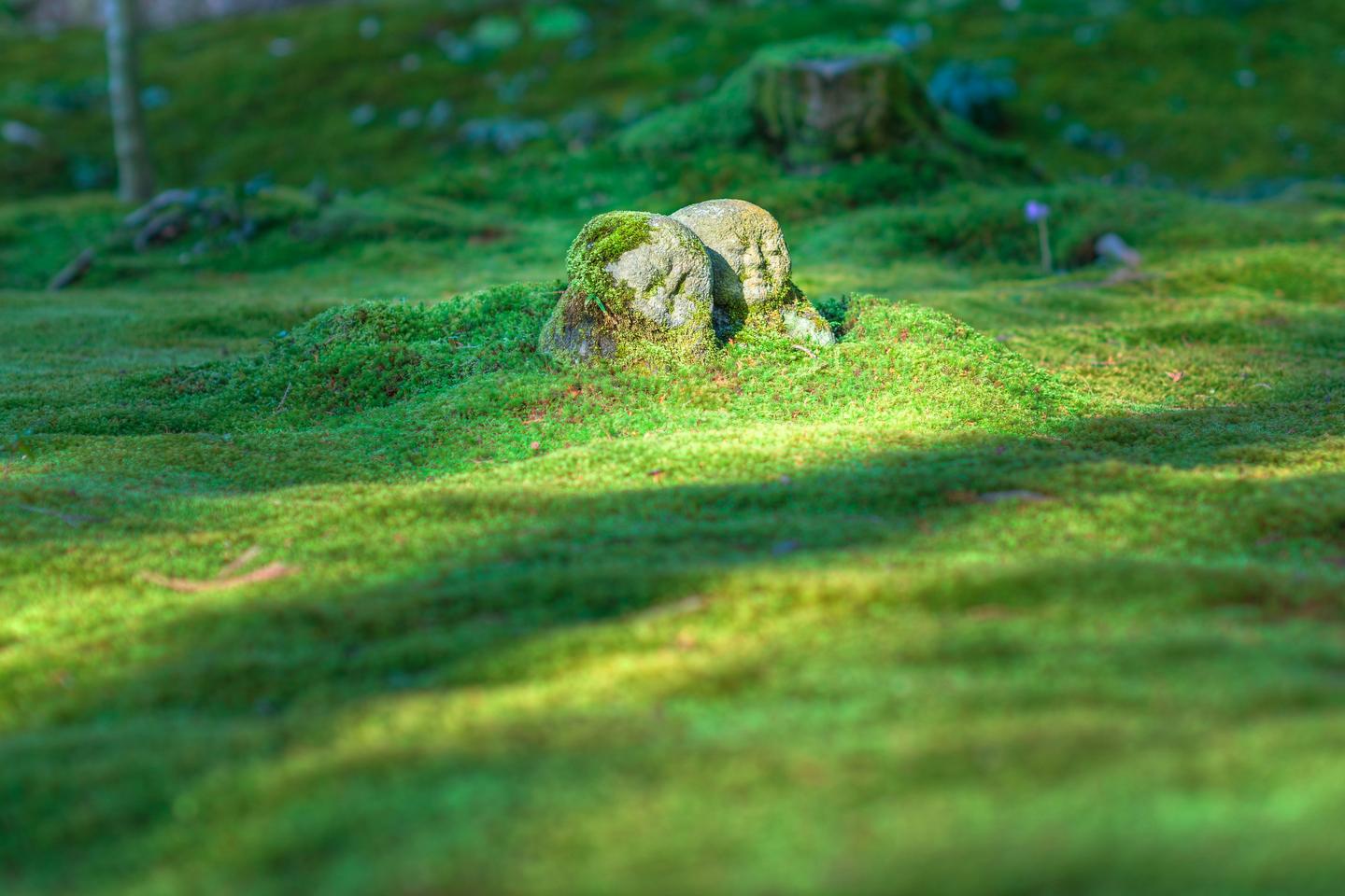 Two small stone figures half covered in moss in the garden of Sanzen-in temple in Ohara, Kyoto