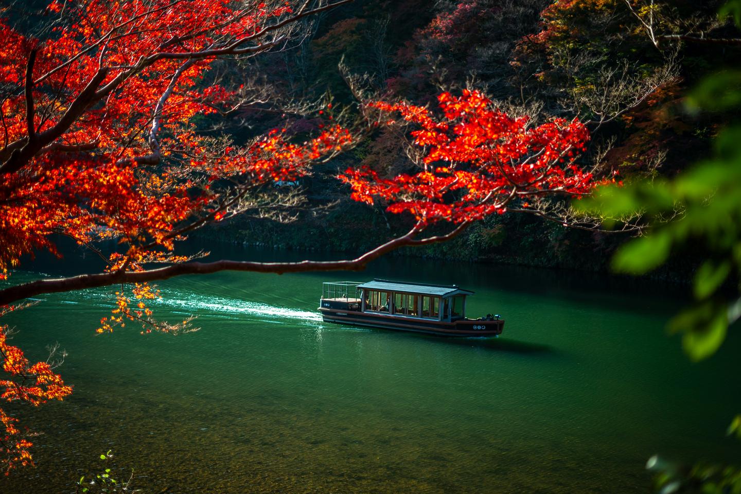 A covered boat on the river at Arashiyama, under red autumn maples