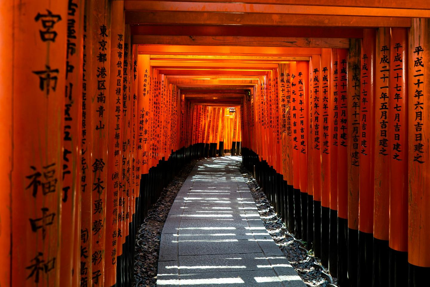 A stone path through the tunnel of orange torii gates at Fushimi Inari Taisha in Kyoto