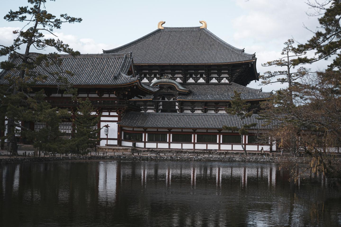 陰天下，松樹與枯枝之間，東大寺大佛殿倒映在平靜的池面上