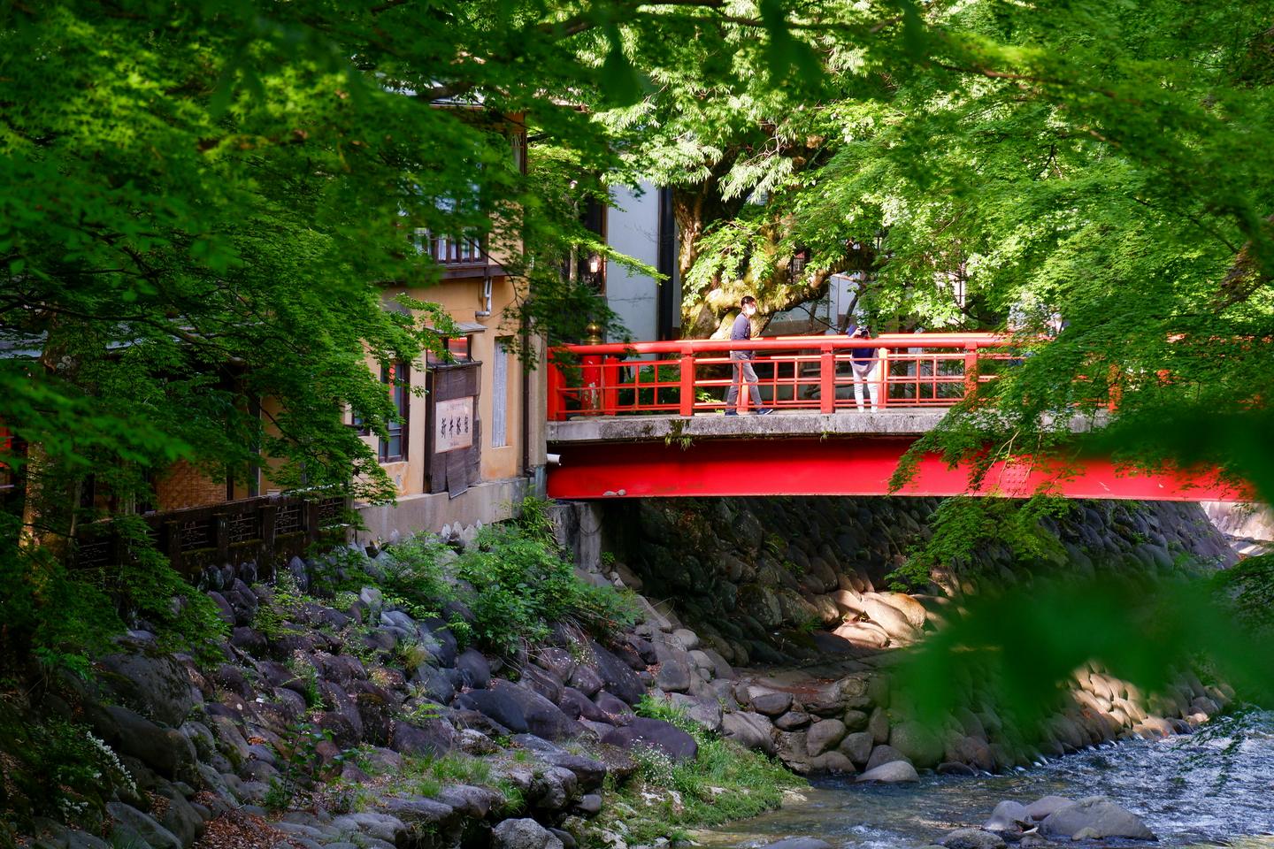A red bridge over a rocky river under green maples at Shuzenji Onsen on the Izu peninsula