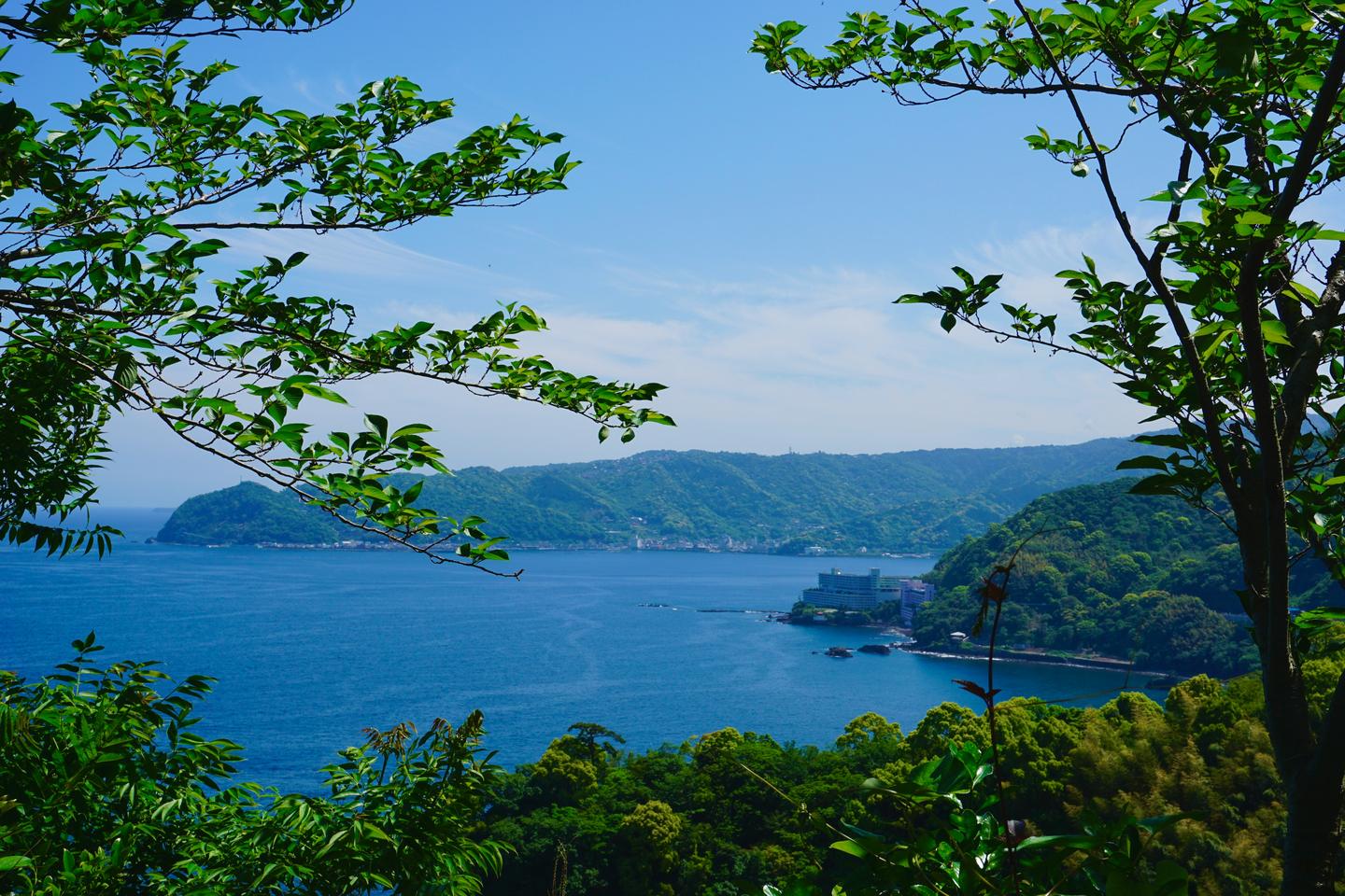 Green wooded hills and a blue bay seen through trees on the coast at Atami
