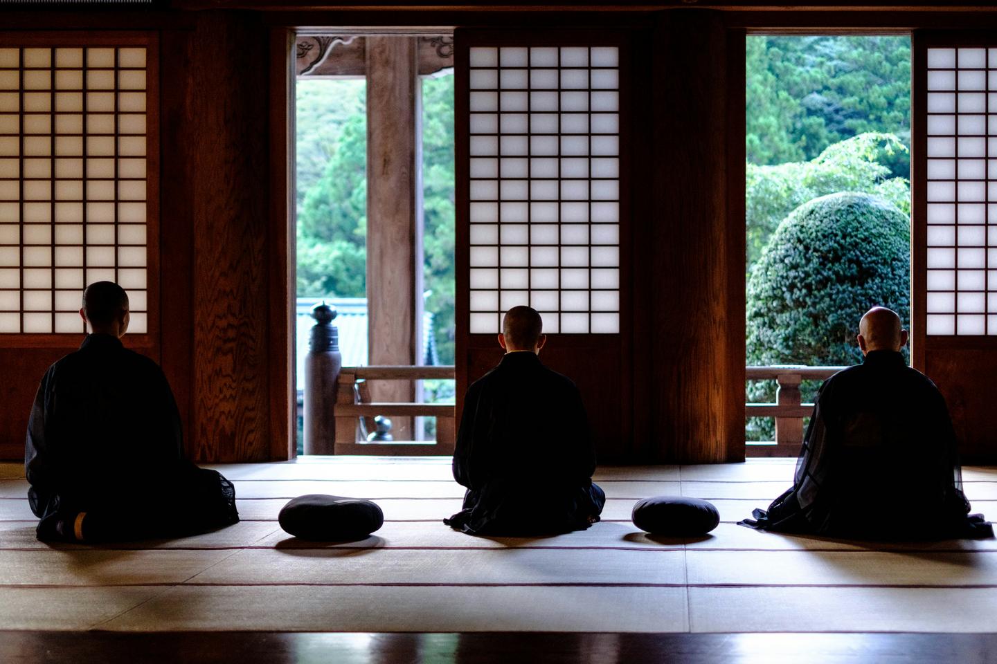 Three people in dark robes sitting zazen in a temple hall, seen from behind, with cushions between them