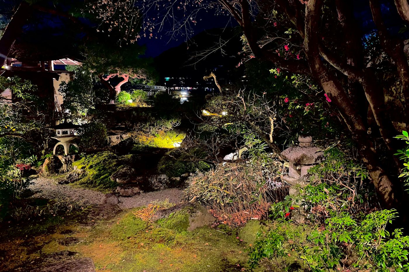 A Japanese garden at night, with lit lanterns among the trees
