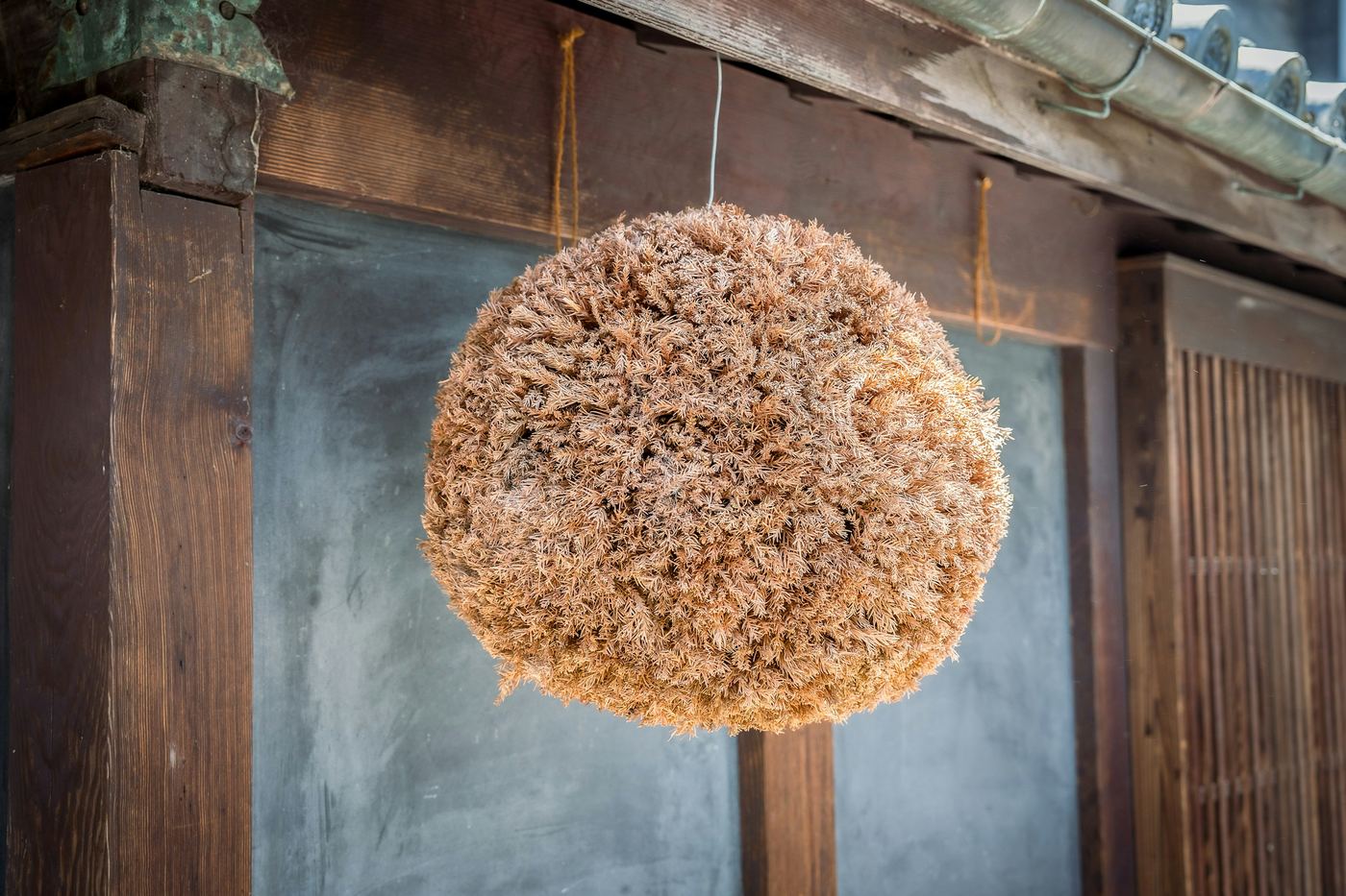 A ball of cedar leaves hanging outside a wooden building