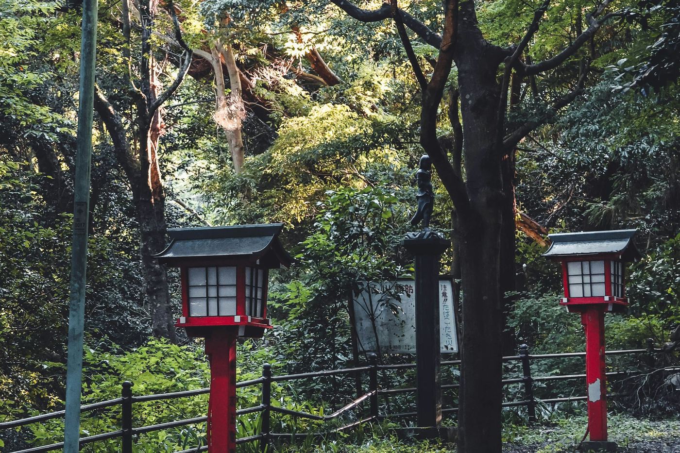 Red lanterns along a path through a forest on Mt. Takao