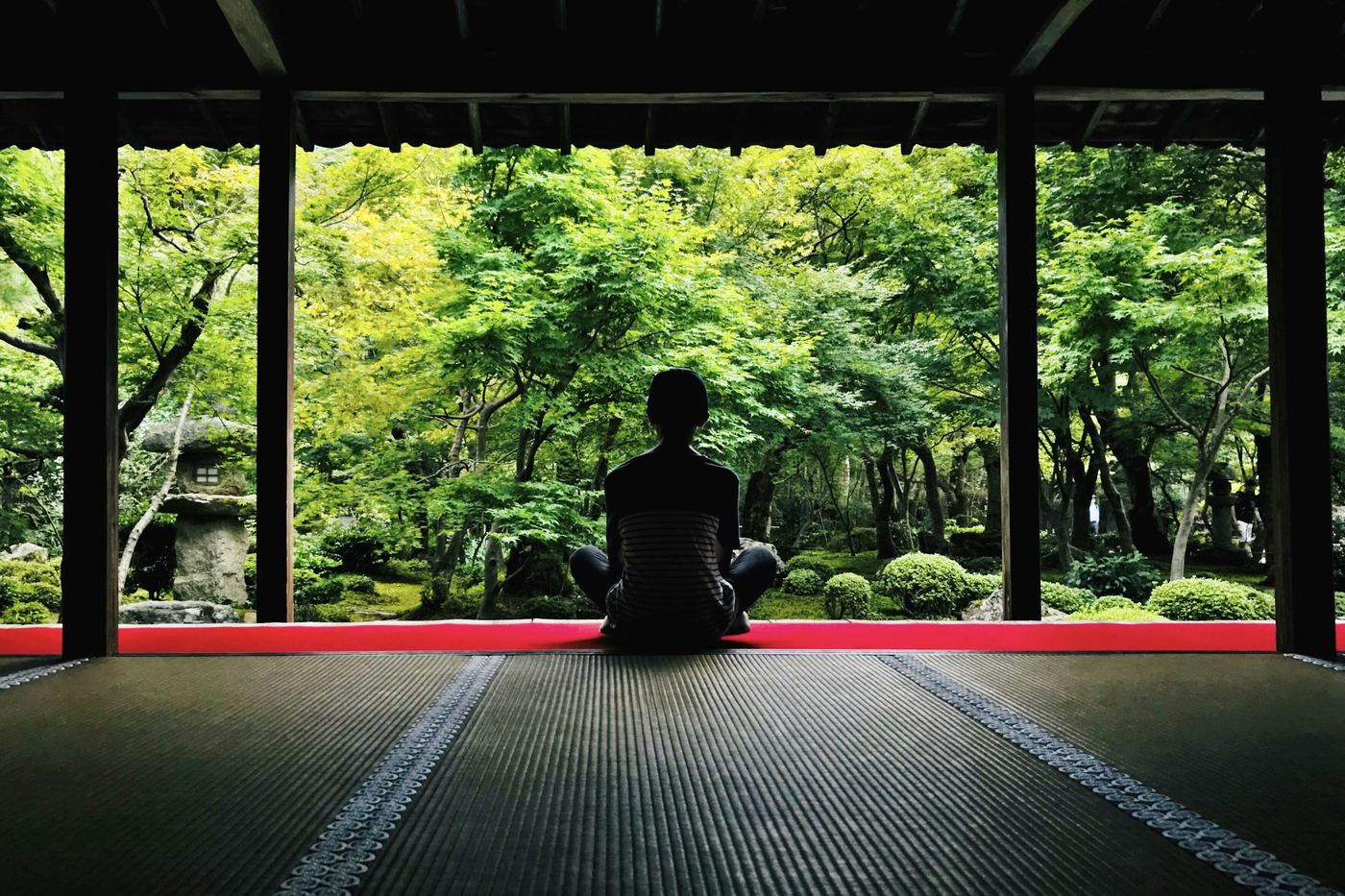 A person seen from behind, sitting on tatami and facing a green garden