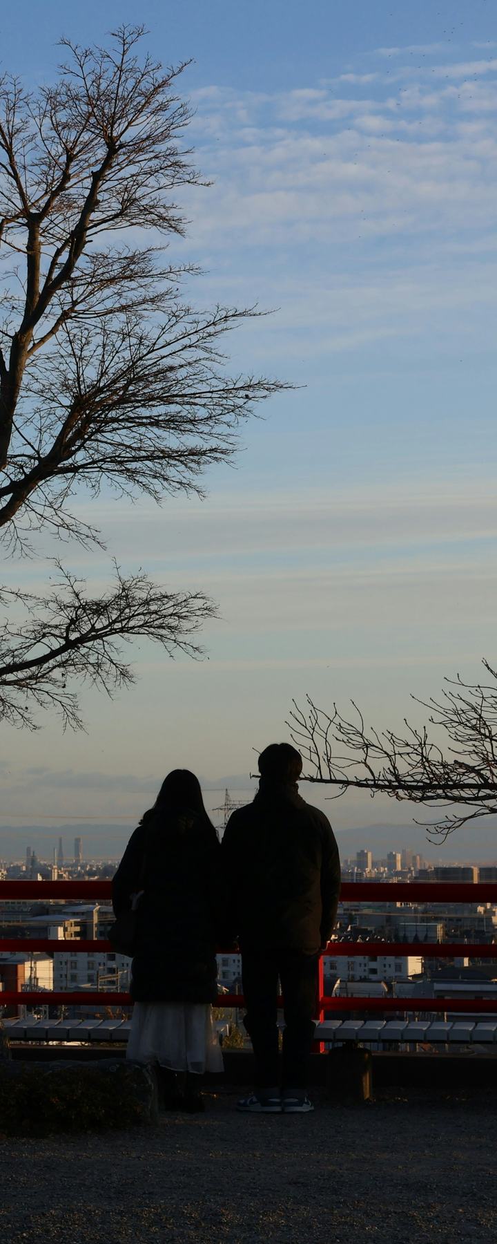 寺の見晴らし台で並んで立ち、街の上の夕方の空を眺める二人