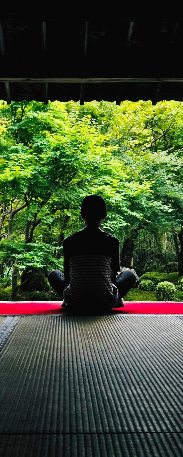 A person sits cross-legged on tatami at the open edge of a temple hall, facing a green garden of maples in Kyoto