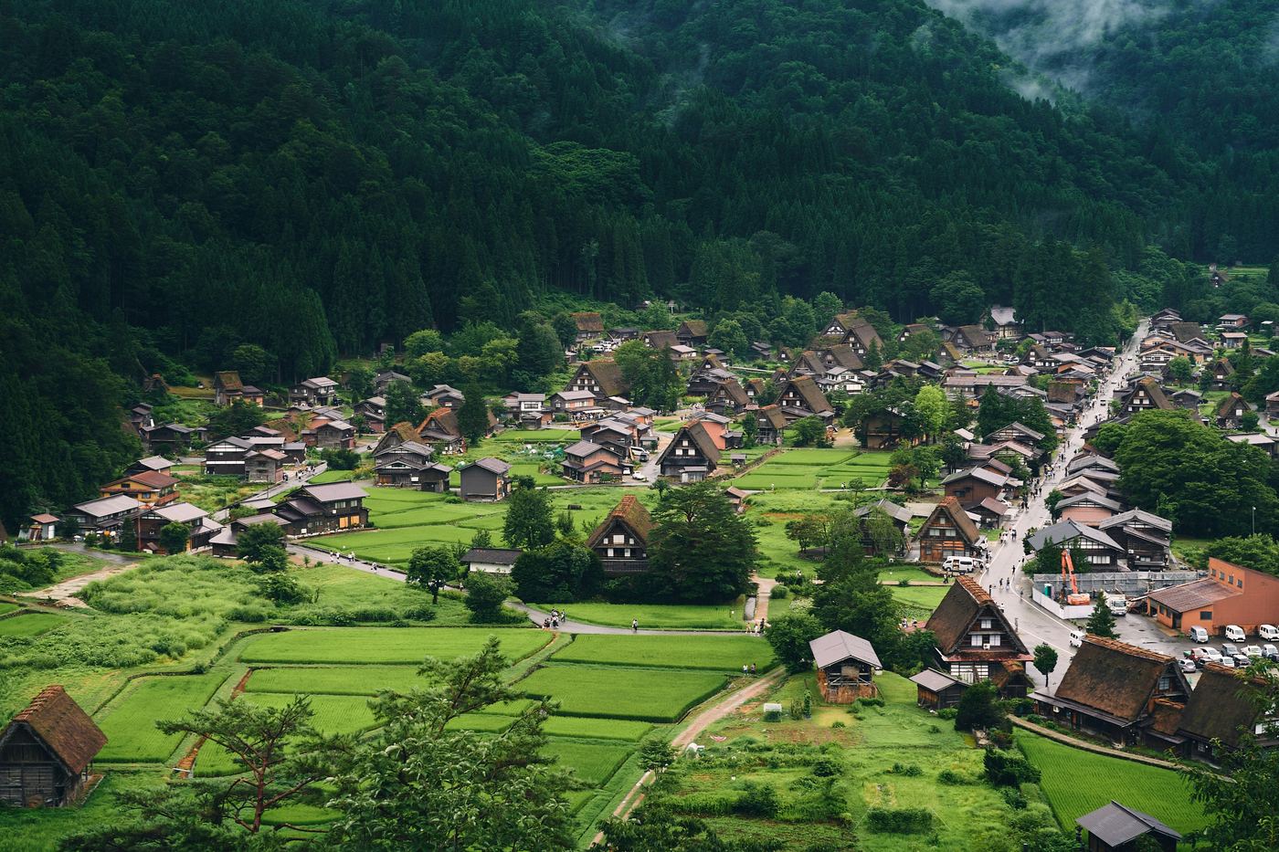 The thatched farmhouses of Shirakawa-go among green rice fields, with forested mountains and low cloud behind