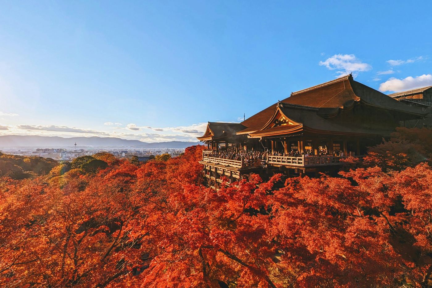 The wooden stage of Kiyomizu-dera rising above a hillside of red autumn maples, with Kyoto beyond