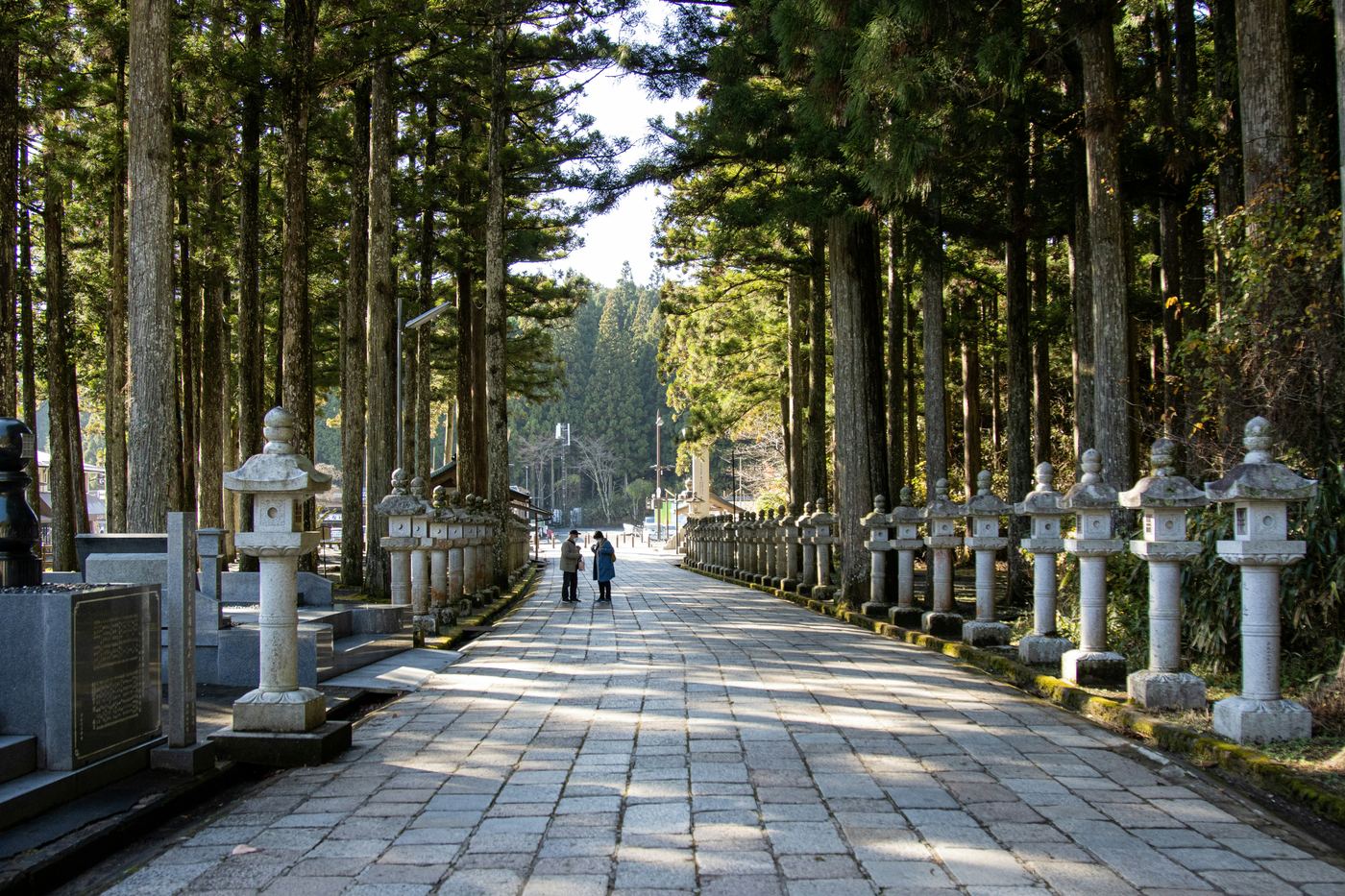 A stone-paved path between tall cedars and rows of stone lanterns in Okunoin