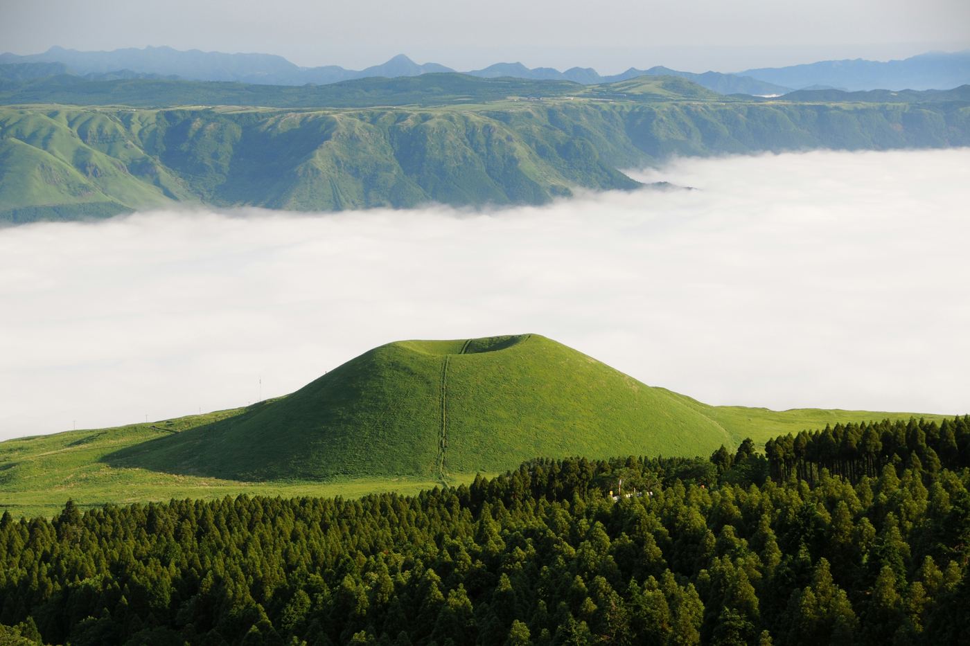 A green volcanic cone above pine forest, with a sea of cloud filling the Aso caldera behind it
