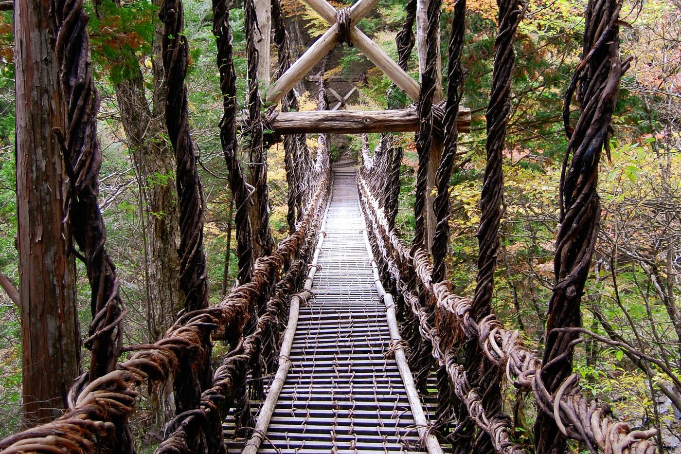 The vine bridge in the Iya Valley, its deck of wooden slats between thick ropes of vine, in green forest
